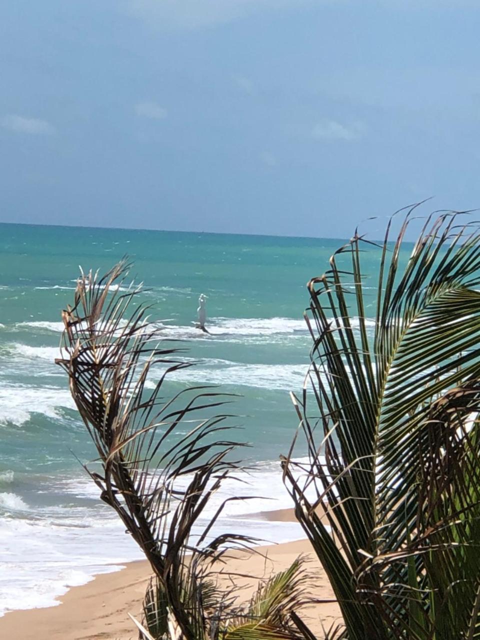 Appartement Temporada Em Maceio Extérieur photo